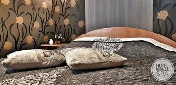 Фото номера Двухместный номер с 1 кроватью и доступом в спа-центр Отель Discret Hotel &amp; SPA г. Владая 12