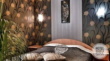 Фото номера Номер с кроватью размера «king-size» Отель Discret Hotel &amp; SPA г. Владая 4