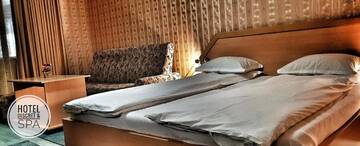 Фото номера Двухместный номер с 1 кроватью и доступом в спа-центр Отель Discret Hotel &amp; SPA г. Владая 5